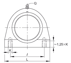 直立式軸承座單元 RSHEY20-TV-VA, 塑料軸承座，內圈帶平頭螺釘的外球面球軸承，耐腐蝕設計，R 型密封